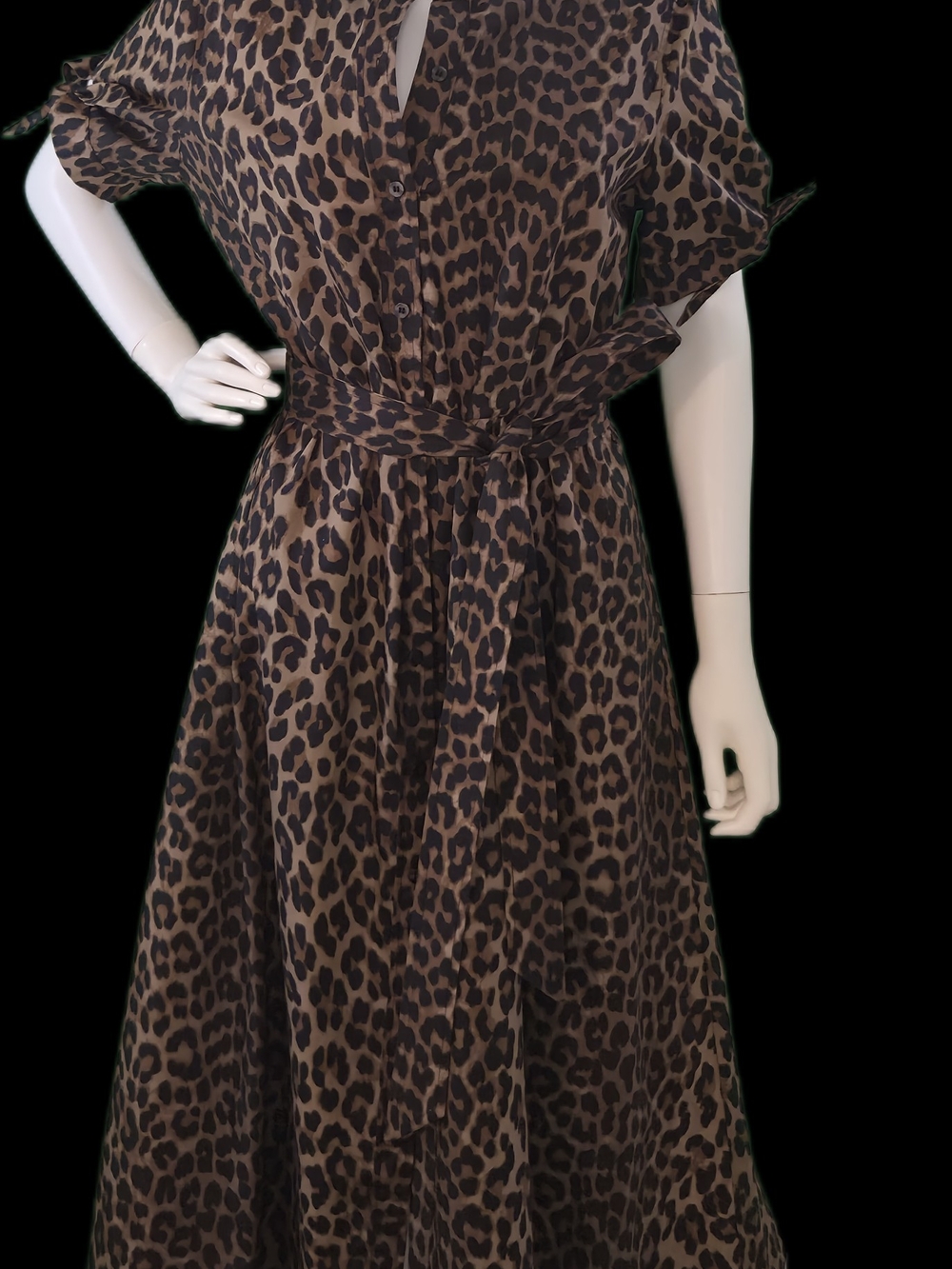 H&M Brown Leopard Print Maxi Dress